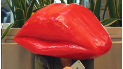 Kiwi duo share the strangest thing to check in through customs