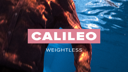 Introducing you to NZ artist Calileo