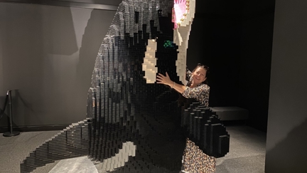 Try it Out Tuesday - Everything is Awesome at Auckland Museum