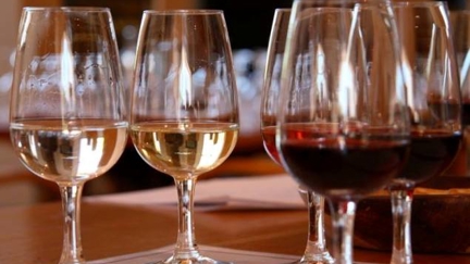 Wine Beer Food Expo
