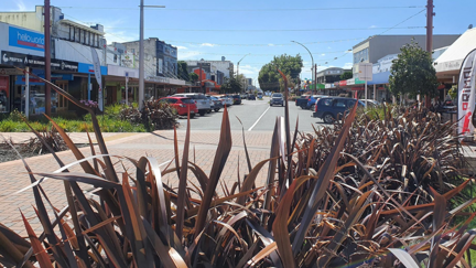 The Rotorua CBD is Bouncing Back