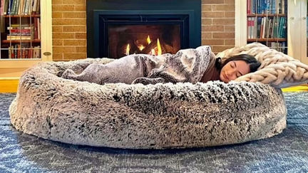 You can now get a human-sized dog bed to 'relieve stress' and provide the 'ultimate napping experience'
