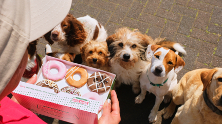 Krispy Kreme is releasing 'Doggie Doughnuts' just in time for International Dog Day