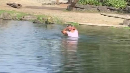 Watch the bizarre moment a man jumps fence to bath in rhino enclosure at Auckland Zoo