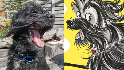 The search is on for real-life Hairy Maclary! Is your pet a match for these classic characters?