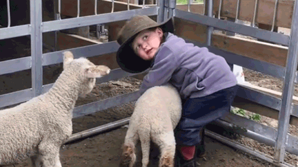 Adorable 3-year-old Kiwi boy goes viral for video learning to be a farmer