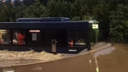 ‘Crazy’ bus driver takes on Auckland floodwaters as roads swamped again