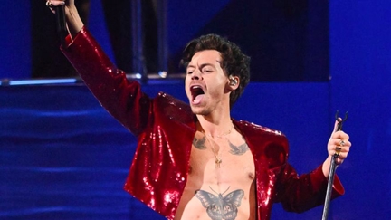 Harry Styles set to launch a range of risqué 'sex-themed' perfumes