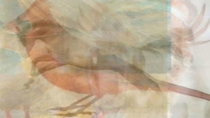 Apparently the first animal you see in this picture reveals your specific Love Language